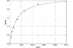 Rac GTPase Activating Protein 1 (RACGAP1) ELISA Kit