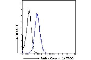 ABIN185063 Flow cytometric analysis of paraformaldehyde fixed Jurkat cells (blue line), permeabilized with 0.