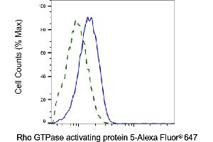 Validation of Rho GTPase activating protein 5 knockdown using flow cytometry. (Rekombinanter ARHGAP5 Antikörper)