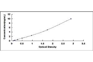 Typical standard curve (METRN ELISA Kit)