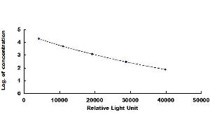Salmon Calcitonin (SCT) ELISA Kit