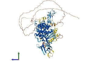 Protein Structure (PS) image for Protein Kinase D1 (PRKD1) (AA 1-918) protein (His tag) (ABIN7563942)
