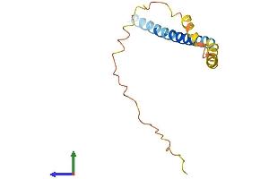 Protein Structure (PS) image for Synuclein, beta (SNCB) (AA 1-133) protein (His tag) (ABIN7560167)