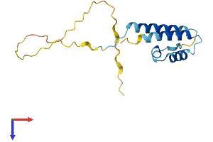 PPP1R14D Protein (AA 1-145) (His tag)