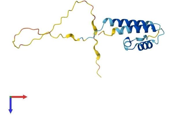 PPP1R14D Protein (AA 1-145) (His tag)