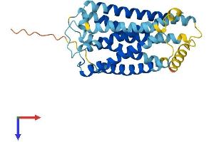 GPR141 Protein (AA 1-305) (His tag)