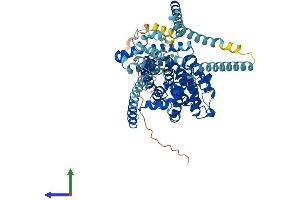 AlphaFold protein structure predicition of Human Recombinant SLC28A1 Protein, UniprotID O00337 (SLC28A1 Protein (AA 1-649) (His tag))