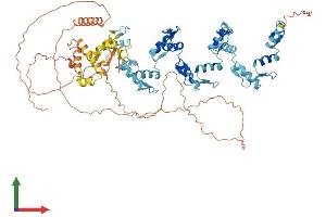 AlphaFold protein structure predicition of Human Recombinant ZNF175 Protein, UniprotID Q9Y473