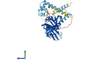 Protein Structure (PS) image for DNA-Damage Inducible 1 Homolog 2 (DDI2) (AA 1-399) protein (His tag) (ABIN7547082)
