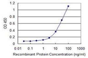 Detection limit for recombinant GST tagged UNC13D is 0. (UNC13D Antikörper  (AA 2-100))