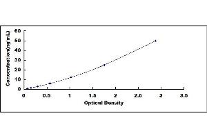 Complement Component C4c (C4c) ELISA Kit