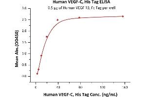 Immobilized Human VEGF R3, Fc Tag (ABIN5526635,ABIN5526636) at 5 μg/mL (100 μL/well) can bind Human VEGF-C, His Tag (ABIN2444233,ABIN2181912) with a linear range of 2-20 ng/mL (QC tested).