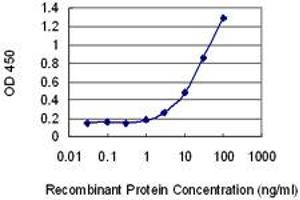 Detection limit for recombinant GST tagged ORC1L is 0. (ORC1 Antikörper  (AA 1-110))