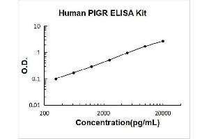 Polymeric Immunoglobulin Receptor (PIGR) ELISA Kit