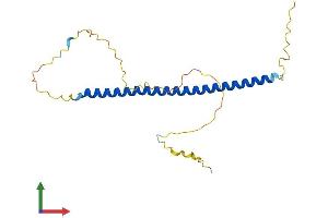 AlphaFold protein structure predicition of Human Recombinant BLOC1S3 Protein, UniprotID Q6QNY0