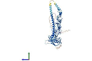 Protein Structure (PS) image for TNF Receptor-Associated Factor 6 (TRAF6) (AA 1-522) protein (His tag) (ABIN7555836)