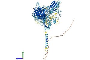 Protein Structure (PS) image for Suppression of Tumorigenicity 14 (ST14) (AA 1-855) protein (His tag) (ABIN7563458)