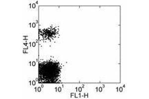 Image no. 2 for anti-Fc Fragment of IgE, Low Affinity II, Receptor For (CD23) (FCER2) antibody (FITC) (ABIN474793) (FCER2 Antikörper  (FITC))