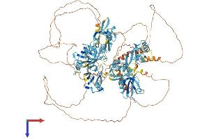 GRIP1 Protein (AA 1-1128) (His tag)