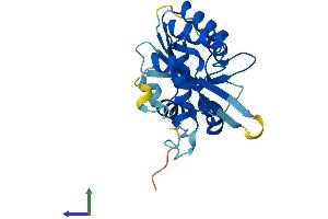Protein Structure (PS) image for Apolipoprotein B mRNA Editing Enzyme, Catalytic Polypeptide 1 (APOBEC1) (AA 1-236) protein (His tag) (ABIN7551874)