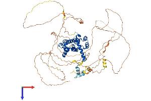 TAGAP Protein (AA 1-731) (His tag)