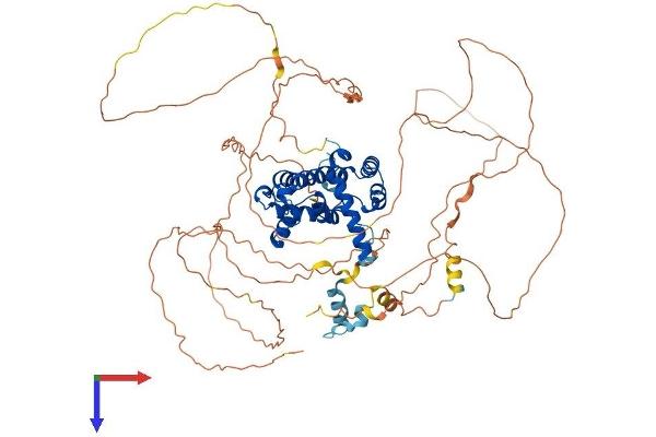 TAGAP Protein (AA 1-731) (His tag)