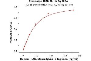 Immobilized Cynomolgus TRAIL R2, His Tag (ABIN6973287) at 5 μg/mL (100 μL/well) can bind Human TRAIL, Mouse IgG2a Fc Tag (ABIN6933657,ABIN6938881) with a linear range of 2-63 ng/mL (QC tested).