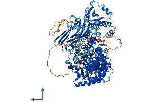 Protein Structure (PS) image for Adaptor-Related Protein Complex 2, alpha 1 Subunit (AP2A1) (AA 1-977) protein (His tag) (ABIN7552126)