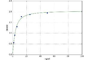 A typical standard curve (CNDP1 ELISA Kit)