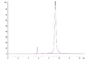 Size-exclusion chromatography-High Pressure Liquid Chromatography (SEC-HPLC) image for Epidermal Growth Factor (EGF) (AA 977-1029) protein (Fc Tag) (ABIN7274530)
