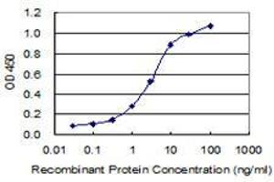 Detection limit for recombinant GST tagged EMID2 is 0. (Collagen, Type XXVI, alpha 1 (COL26A1) (AA 380-440) Antikörper)
