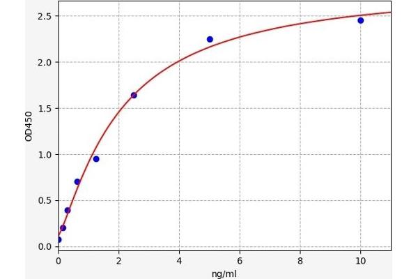 DLG4 ELISA Kit