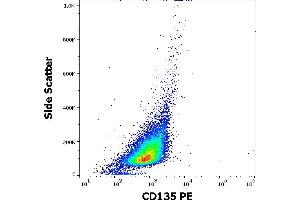 Flow cytometry surface staining pattern of REH cellular suspension stained using anti-human CD135 (BV10A4) PE antibody (20 μL reagent per million cells in 100 μL of cell suspension).