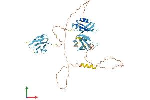 Protein Structure (PS) image for TAR DNA Binding Protein (TARDBP) (AA 1-414) protein (His tag) (ABIN7555684)