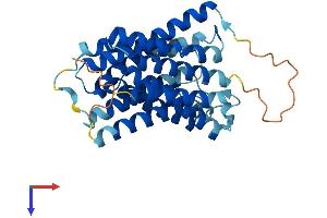 Solute Carrier Family 35, Member A4 (SLC35A4) (AA 1-324) protein (His tag)