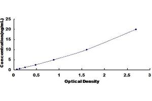 GLDC ELISA Kit