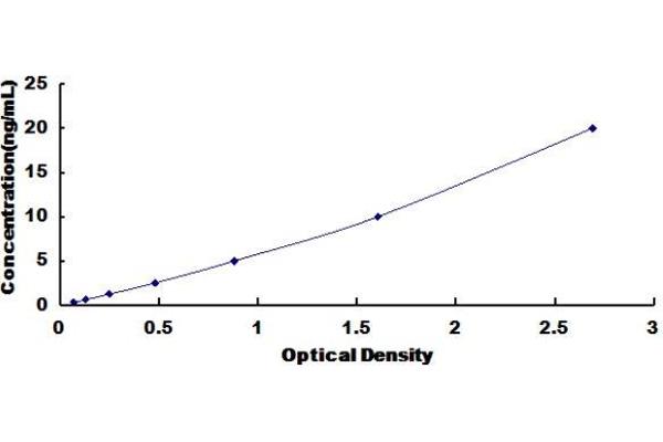 GLDC ELISA Kit