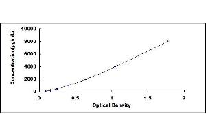 KPNA2 ELISA Kit