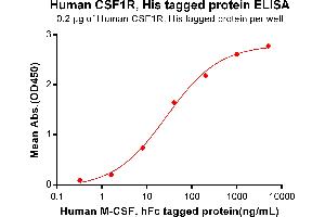 ELISA plate pre-coated by 2 μg/mL (100 μL/well) Human CSF1R, His tagged protein (ABIN6961125) can bind Human M-CSF, hFc Tagged protein in a linear range of 0.