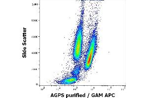 Flow Cytometry (FACS) image for anti-Alkylglycerone Phosphate Synthase (AGPS) (AA 158-384) antibody (ABIN2749041)