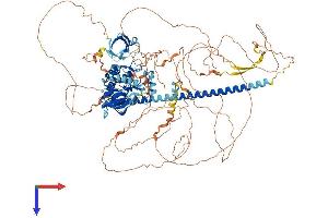 MAP3K9 Protein (AA 1-1077) (His tag)