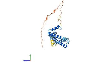 AlphaFold protein structure predicition of Mouse Recombinant Tmem65 Protein, UniprotID Q4VAE3