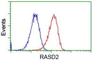 Flow cytometric Analysis of Hela cells, using anti-RASD2 antibody (ABIN2453588), (Red), compared to a nonspecific negative control antibody (TA50011), (Blue). (RASD2 Antikörper)
