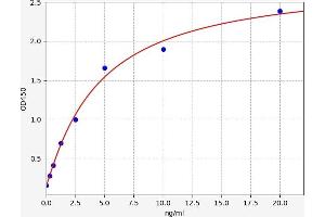 SALL2 ELISA Kit