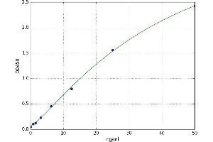 Metal-Regulatory Transcription Factor 1 (MTF1) ELISA Kit