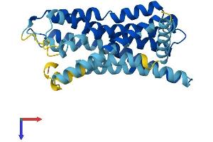 Olfactory Receptor, Family 10, Subfamily A, Member 2 (OR10A2) (AA 1-303) protein (His tag)