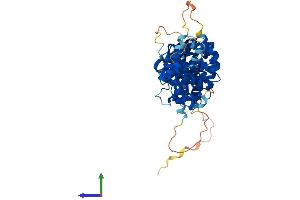 Protein Structure (PS) image for serum Amyloid A-Like 1 (SAAL1) (AA 1-474) protein (His tag) (ABIN7560906)