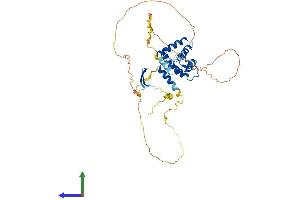 Protein Structure (PS) image for AT Rich Interactive Domain 3C (BRIGHT-Like) (ARID3C) (AA 1-409) protein (His tag) (ABIN7562013)