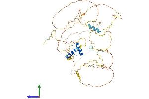 Protein Structure (PS) image for GC-Rich Promoter Binding Protein 1-Like 1 (GPBP1L1) (AA 1-474) protein (His tag) (ABIN7548023)