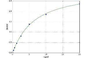 A typical standard curve